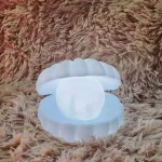veilleuse coquillage en lumière LED